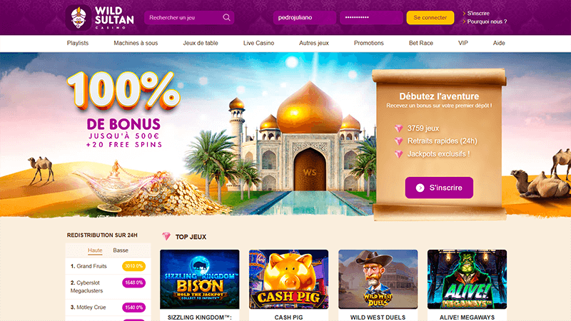 Page d'accueil de wild sultan casino