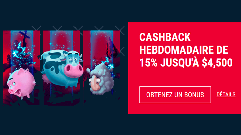 Promotion hebdomadaire 15%